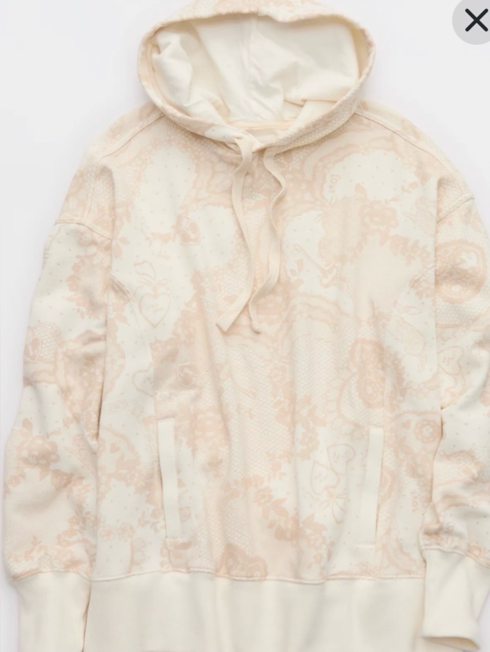 BNWT AERIE HOODIE